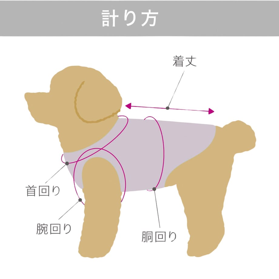 67f5b8ce92536645d8a28196