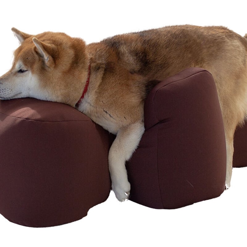 犬用リラクッションMサイズ本体のみ 楽天市場】OneAid リラクッション ペット Mサイズ ワンエイド 犬