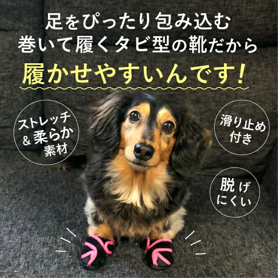 655f1f31ddb4220a229d9768