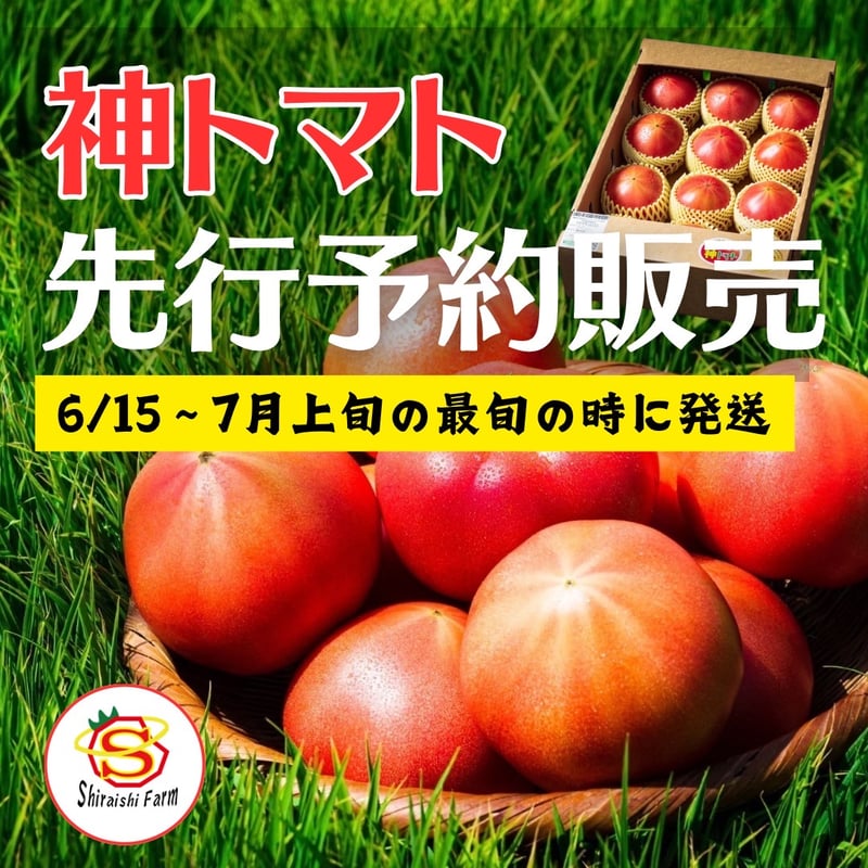 神トマト予約販売 | 白石農園オンラインショップ