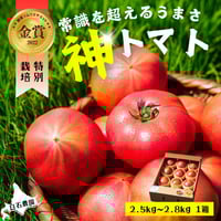 トマト5さま専用 Amazon.co.jp: 株式会社トーホク F1甘~い中玉トマト 連果 3720 5