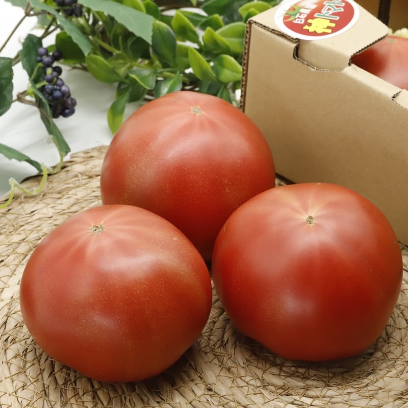 特別栽培🍅神トマト4〜5個入りお試し箱 | 白石農園オンライン