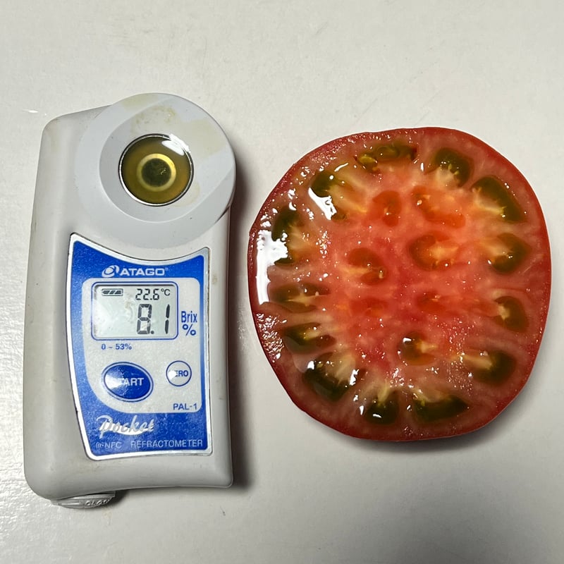 特別栽培🍅神トマト4〜5個入りお試し箱 ✖️2箱セット | 白石