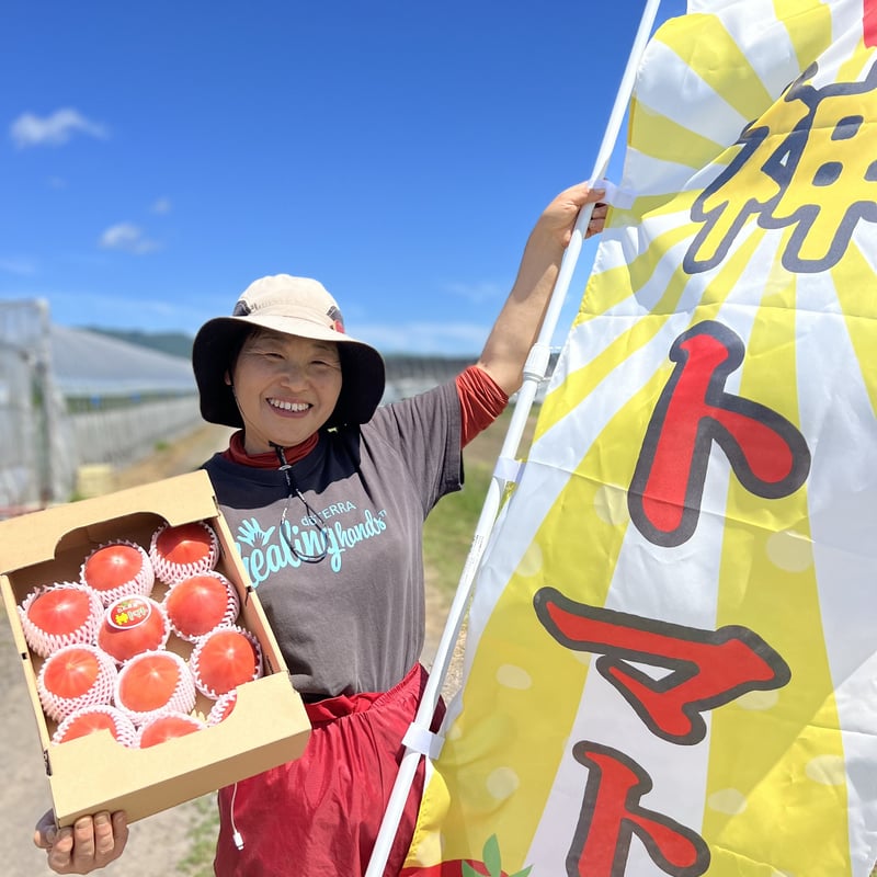 段戸鉱石(面取り品)200g X 20個セット 特別栽培「神トマト」2.5Kg〜2.8Kgが 2箱セット | 白石農園オンライン