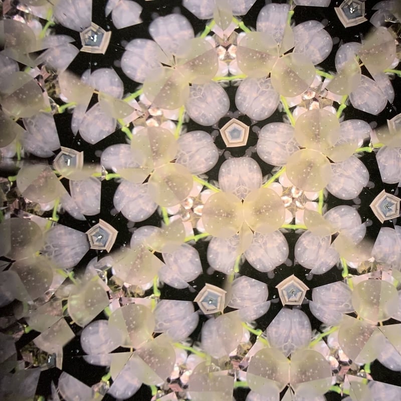 季節の幻想万華鏡 「春宵の桜」 | 万華鏡Shop [K-glass/k