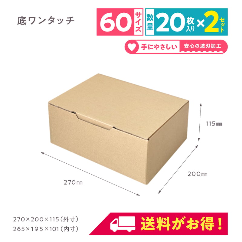 ダンボールのイガちゃん