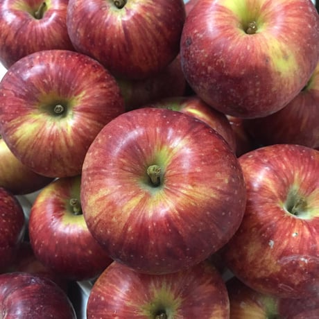 ”まぼろし”の八ヶ岳の葉とらず林檎「アップルパイ」