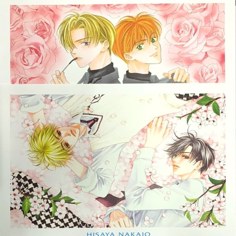 柴太郎さん専用 中条比紗也 全サ BEST SELECT ART COLLECTION | K-BOOKS