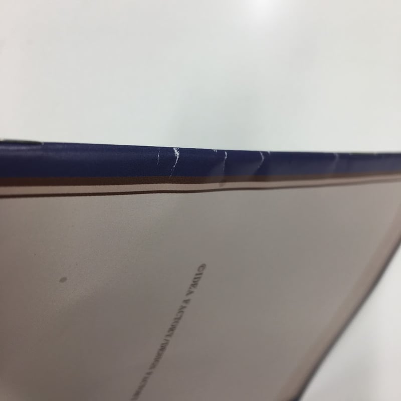 イタミ有】ピオフィオーレの晩鐘 小冊子 | K-BOOKS 池袋 2次元グッズ通販