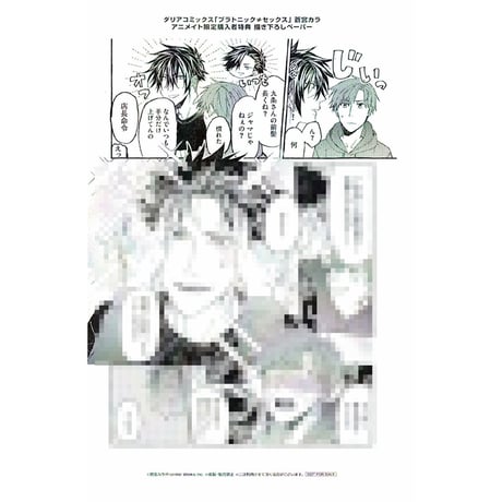 CATEGORY 蒼宮カラ | K-BOOKS 池袋 2次元グッズ通販