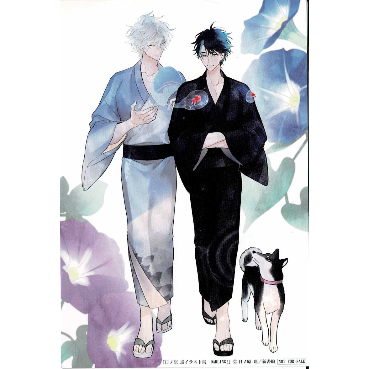 fit=scale-down,w=1200