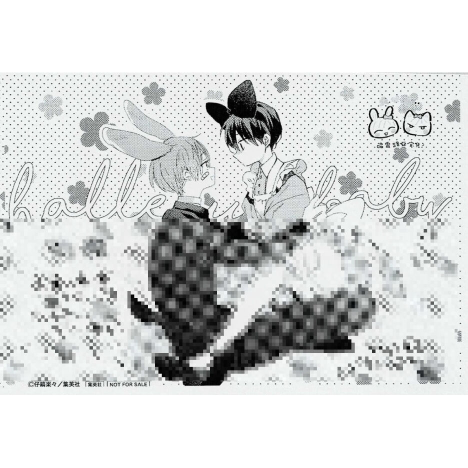 仔縞楽々『ハレルヤベイビー』3巻 出版社特典 ペーパー【BLグッズ
