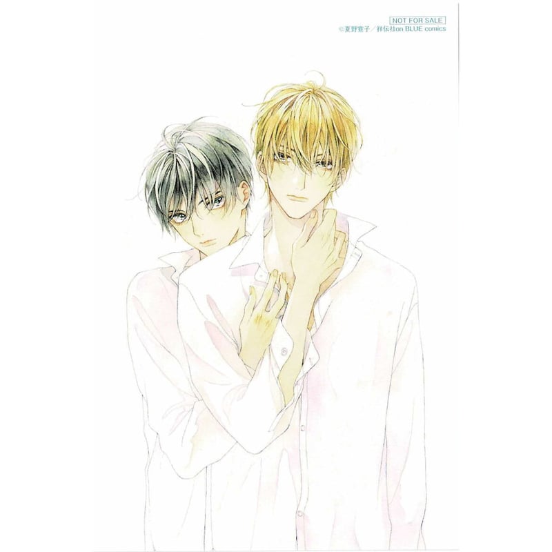 夏野寛子　25時、赤坂で　色紙　onBLUE8周年 9周年 夏野寛子 『25時、赤坂で』 onBLUE9周年記念フェア 両面