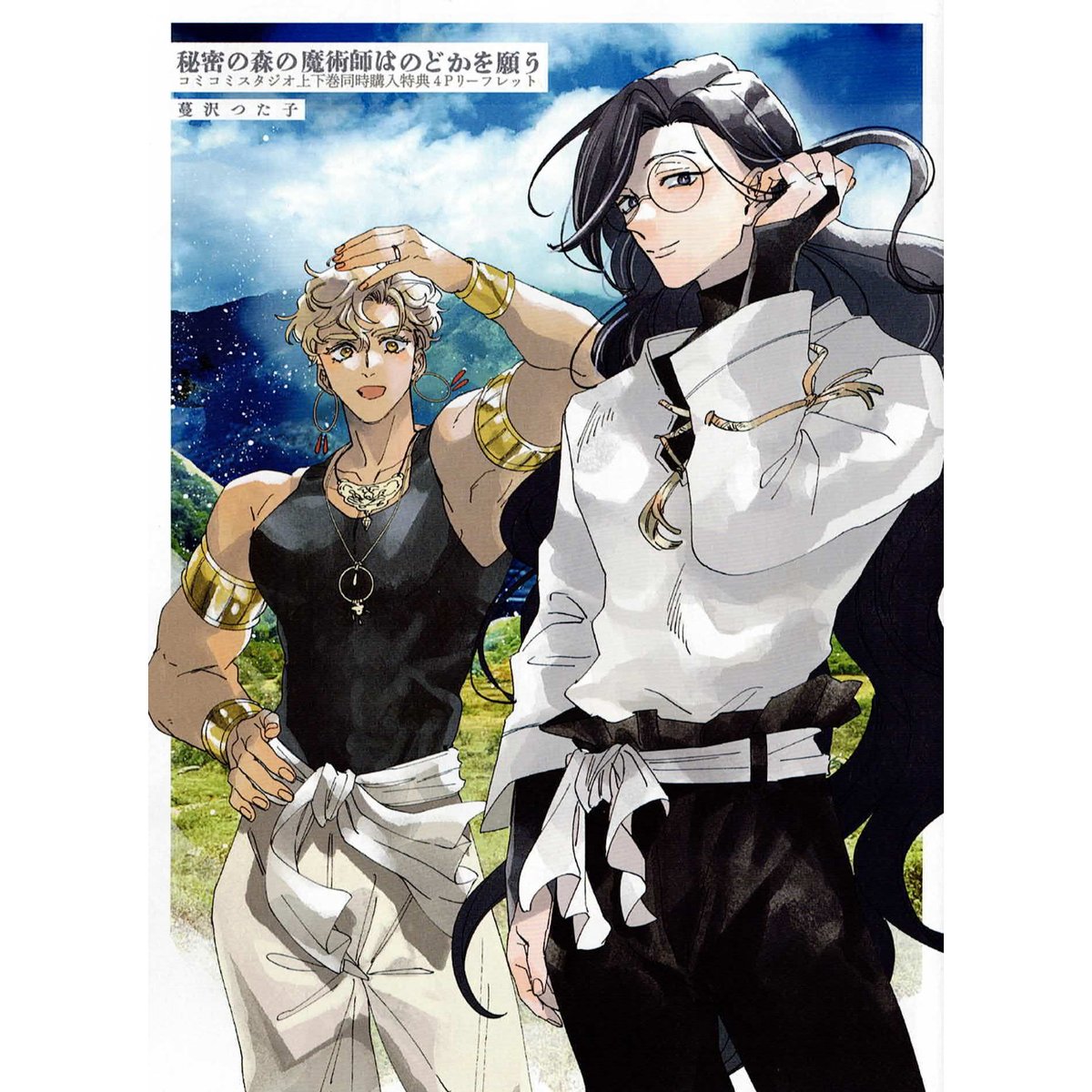 蔓沢つた子『秘密の森の魔術師はのどかを願う (上)(下