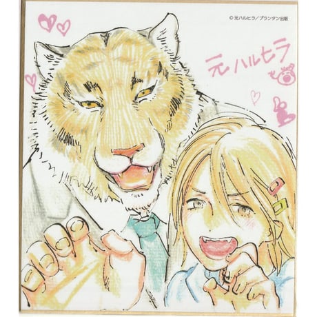 元ハルヒラ　『Canna 10th Anniversary　創刊10周年感謝イベント』　色紙　【BLグッズ】