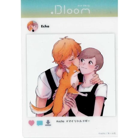 CATEGORY echo | K-BOOKS 池袋 2次元グッズ通販