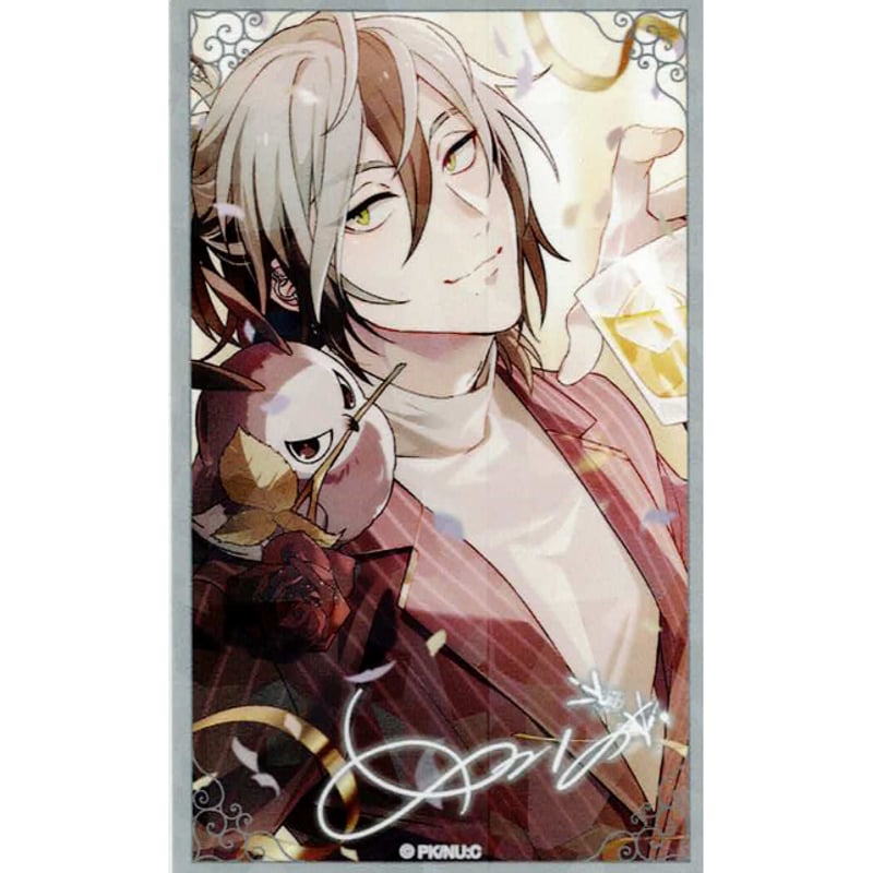 NU:カーニバル】レイきらきらカード100枚