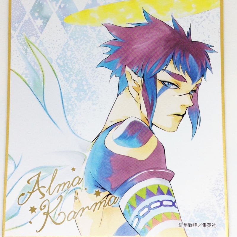 非売品 D Gray-man 複製サイン色紙 アレン ティムキャンピー 星野桂