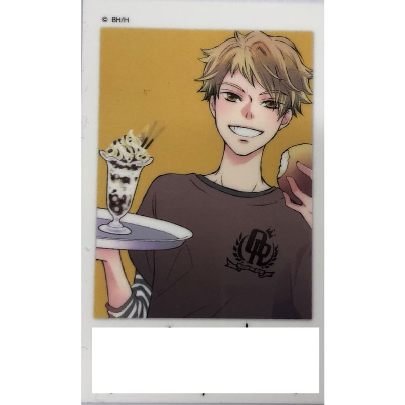 桜蘭高校ホスト部 常陸院光 チェキ カード