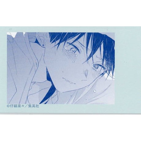 CATEGORY 仔縞楽々（小嶋ララ子） | K-BOOKS 池袋 2次元グッズ通販
