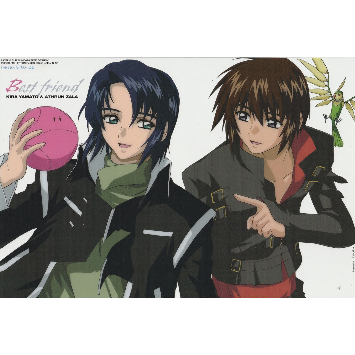 機動戦士ガンダムSEED DESTINY』 フォトコレクション Cell DX PHA