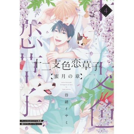 待緒イサミ | STORES