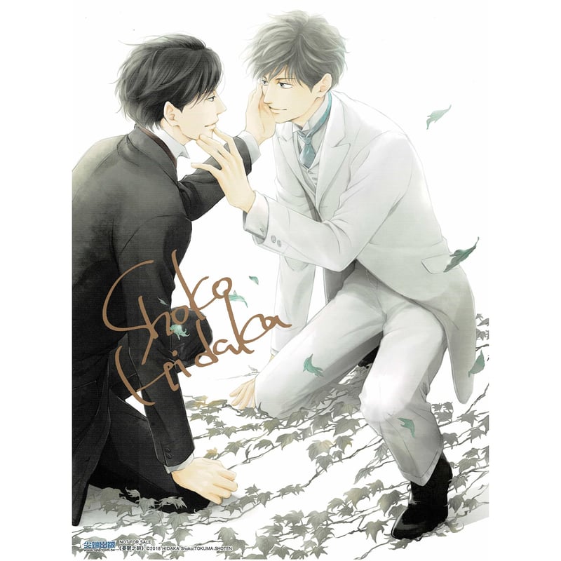 ［特典のみ］憂鬱な朝⑧／日高ショーコ 日高ショーコ 『憂鬱な朝』 台湾限定 イラストカード【BLグッズ】 | K