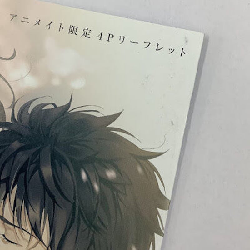 hitomi『1人と一人の3650日』 アニメイト リーフレット 【BLグッズ