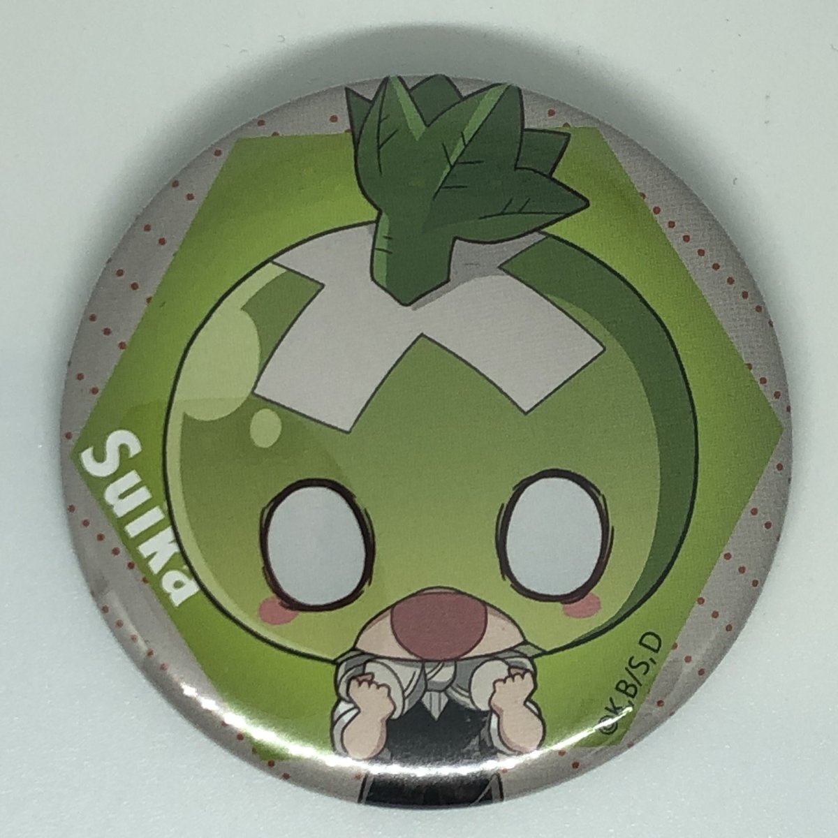 Dr.STONE スイカ 缶バッジ | K-BOOKS 池袋 2次元グッズ通販