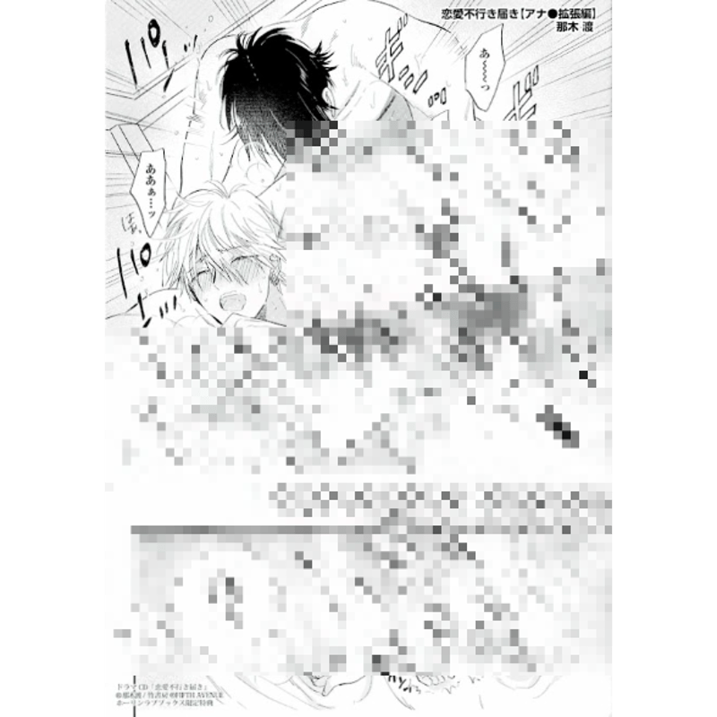 傷み有り】那木渡 ドラマCD『恋愛不行き届き』 ホーリンラブブックス