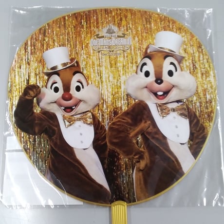 【激レア】ディズニー イマジニング ワンマンズドリーム ポストカード 東京ディズニーランド ワンマンズドリーム 実写ポストカード