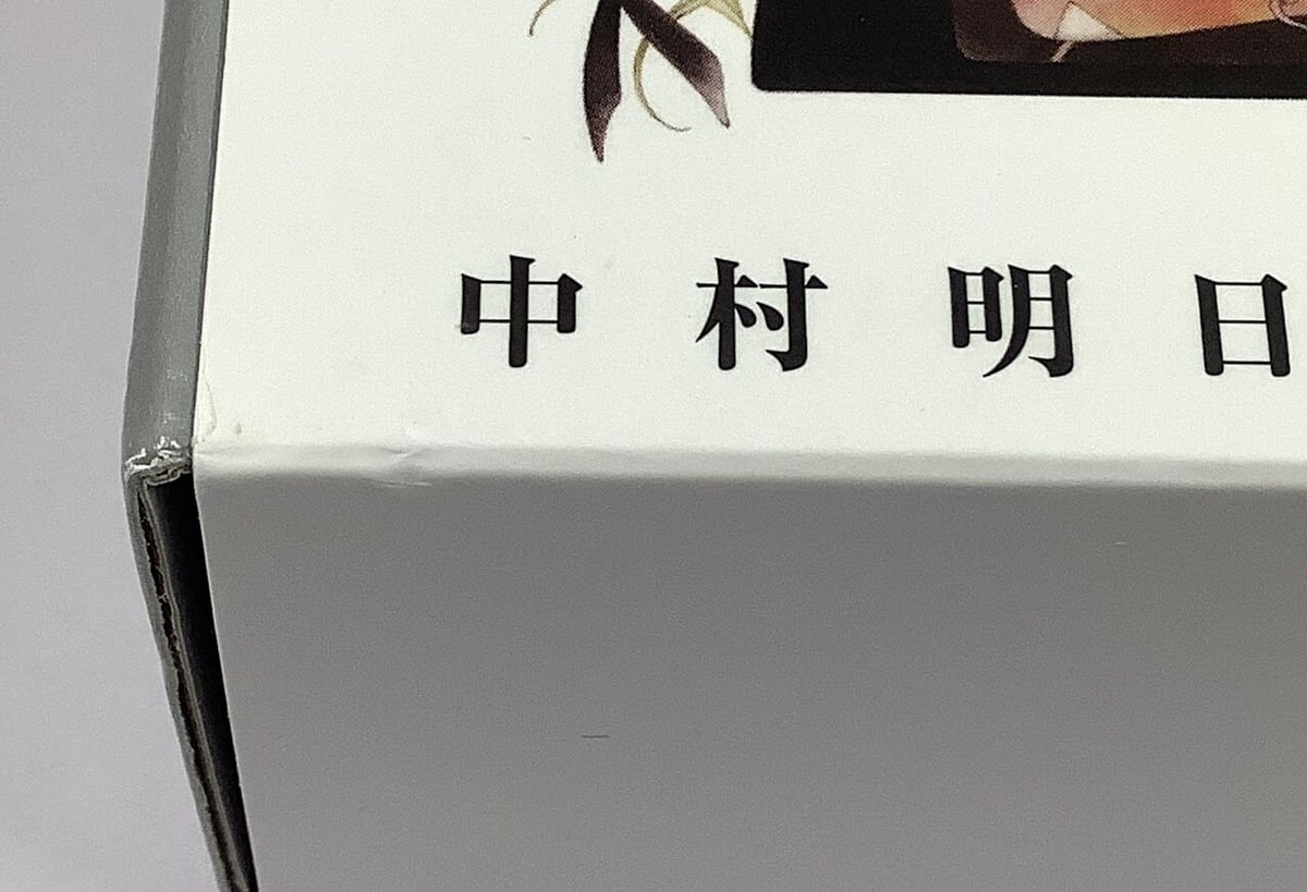 イタミ有り】中村明日美子 20年展 100枚ポストカード ボックス