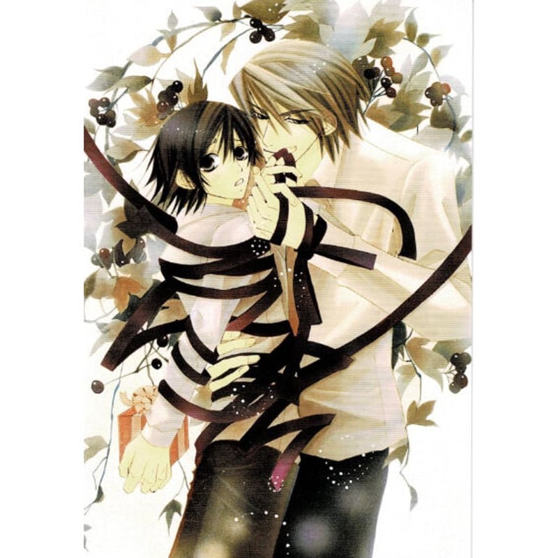 抽プレ 純情＆純愛☆超小冊子 中村春菊 藤崎都 純情ロマンチカ 純愛