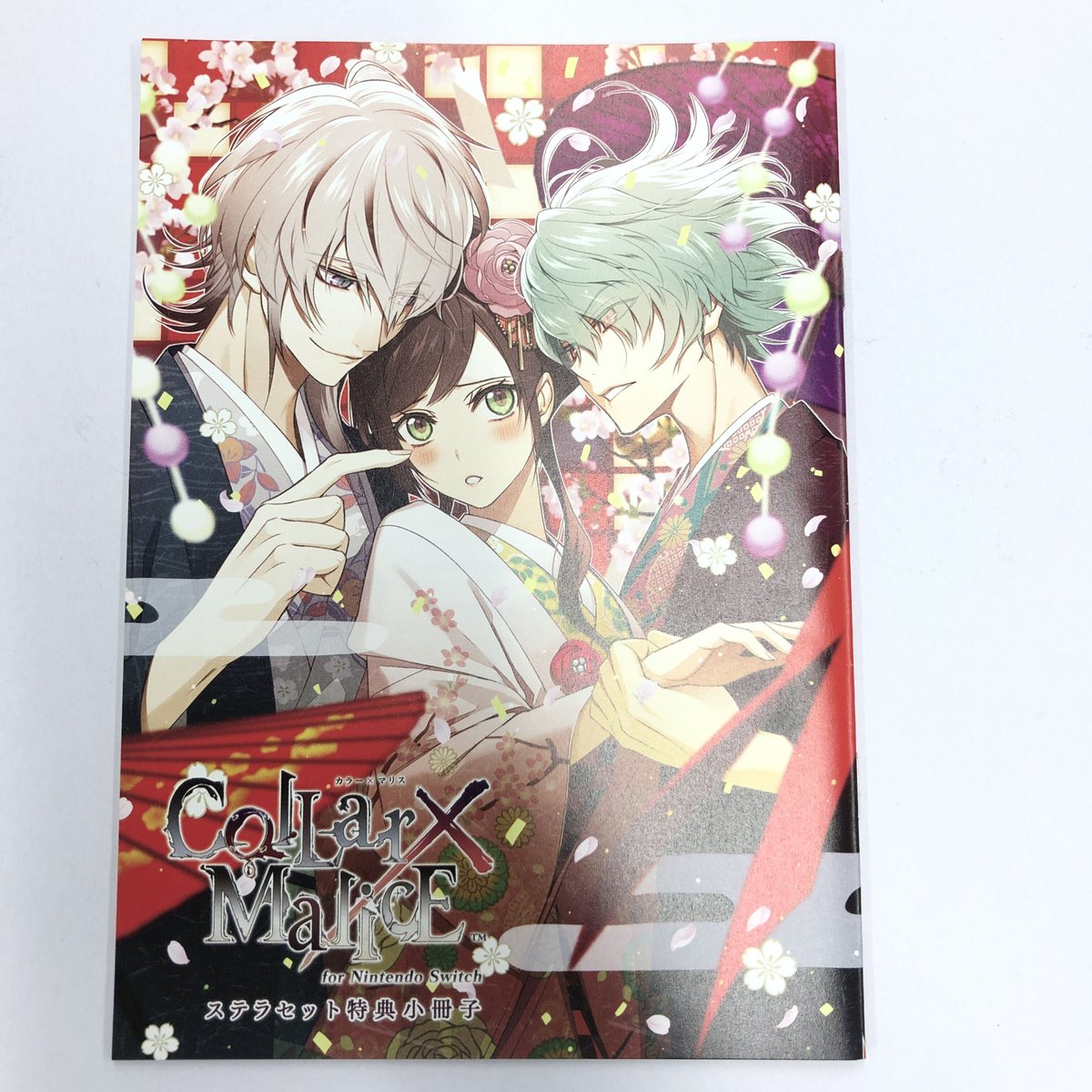 Collar×Malice for Nintendo Switch ステラワース特典 小冊子