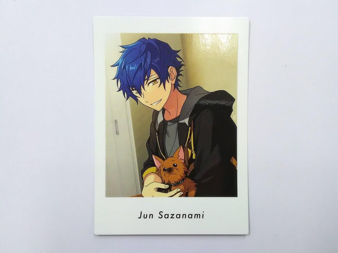 あんスタ ぱしゃっつ private 漣ジュン 12枚 Amazon.co.jp: あんスタ ぱしゃっつ private action 漣ジュン