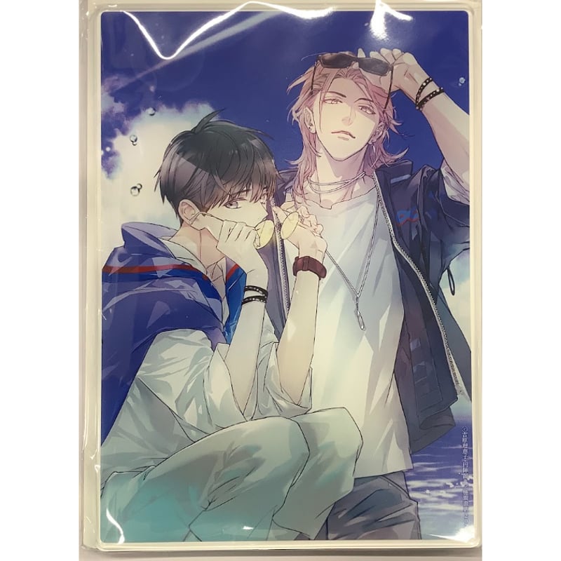 二重螺旋　吉原理恵子　円陣闇丸　コミコミスタジオ　有償特典　アクリルプレート 吉原理恵子 円陣闇丸 『二重螺旋』4巻 コミコミスタジオ特典 A5