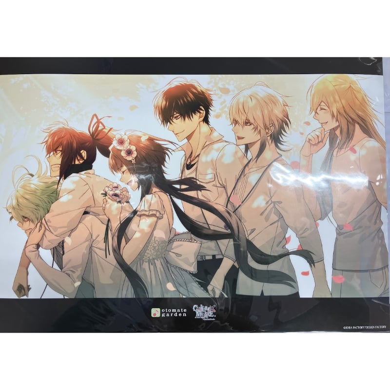 ○【イタミ有】Collar × Malice 柳愛時 岡崎契 白石景之 榎本