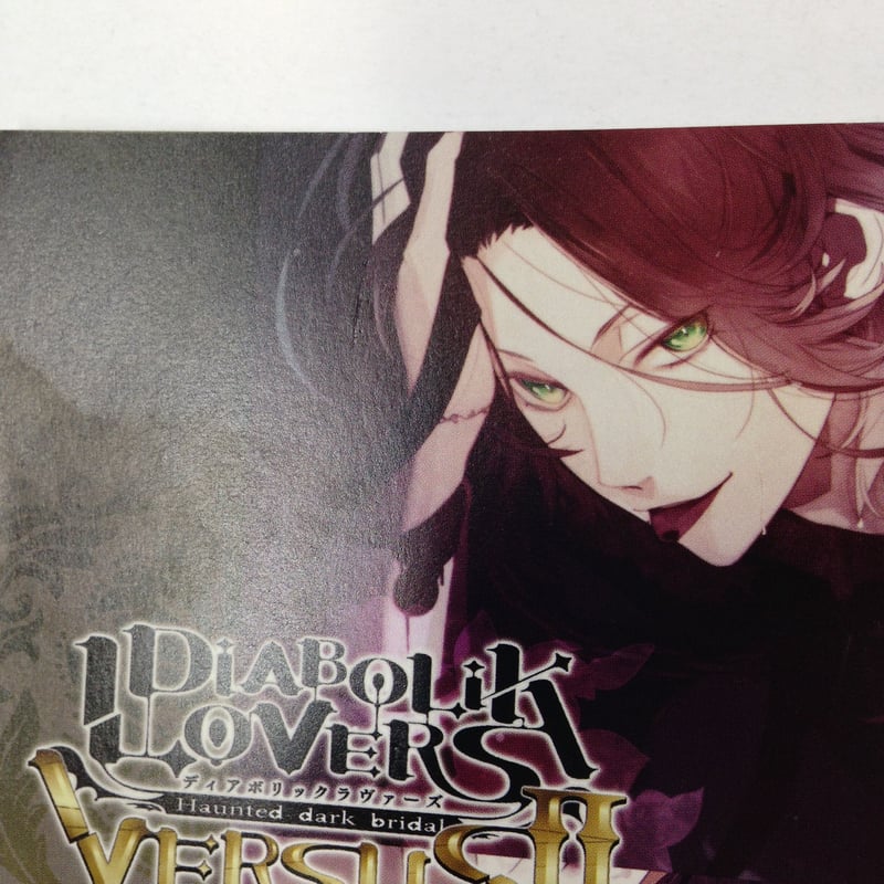 VERSUS 全巻連動購入特典 小冊子 DIABOLIK LOVERS DIABOLIK LOVERS VERSUS II 小冊子 | K-BOOKS 池袋 2次元グ