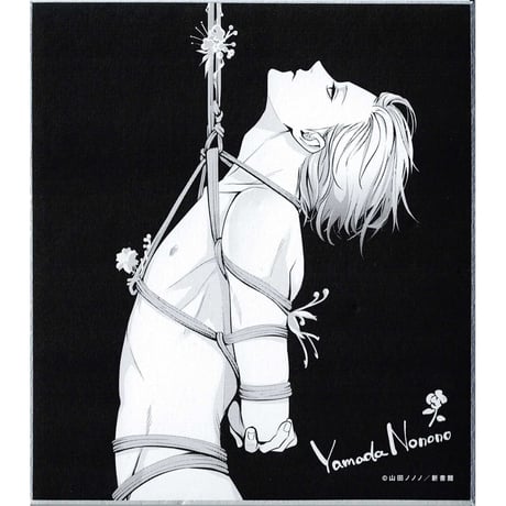 CATEGORY 山田ノノノ | K-BOOKS 池袋 2次元グッズ通販