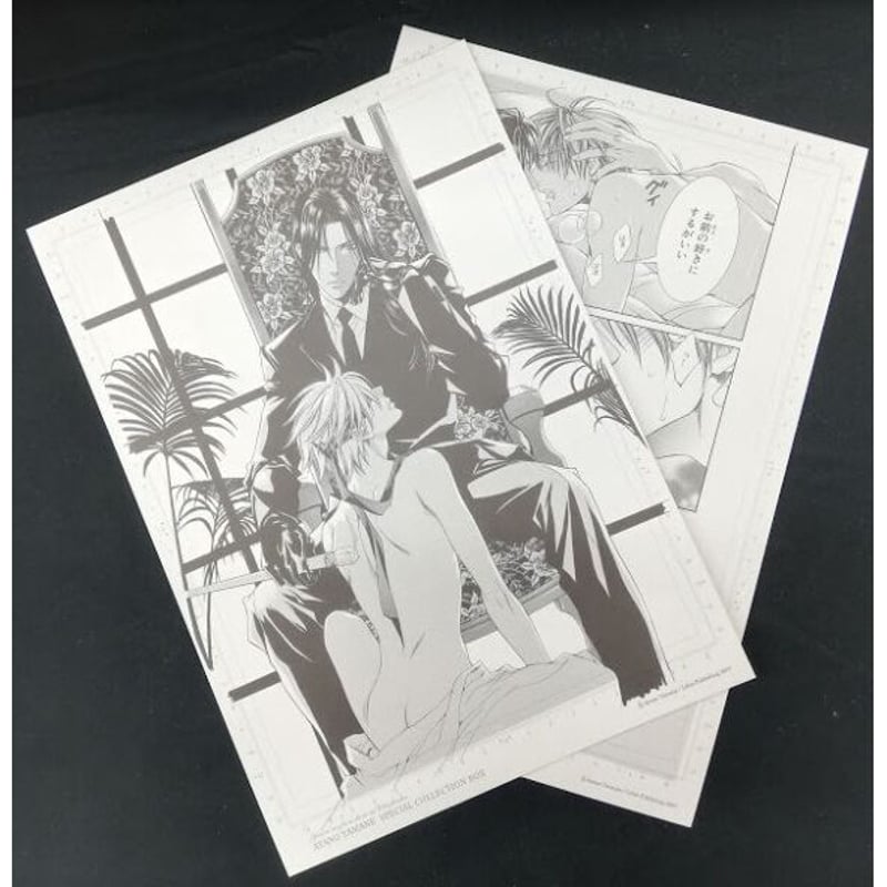 やまねあやのスペシャルコレクションBOX