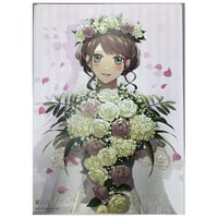 アオペラ 粋 ブロマイド 33枚セット アオペラ -aoppella!?- 綾瀬 光緒 ランダムブロマイド(レア) | K-BOOKS