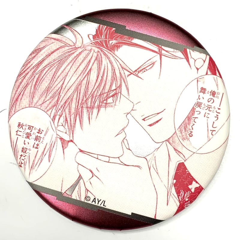 やまねあやの 『ファインダーシリーズ』 ビーボーイコレクション