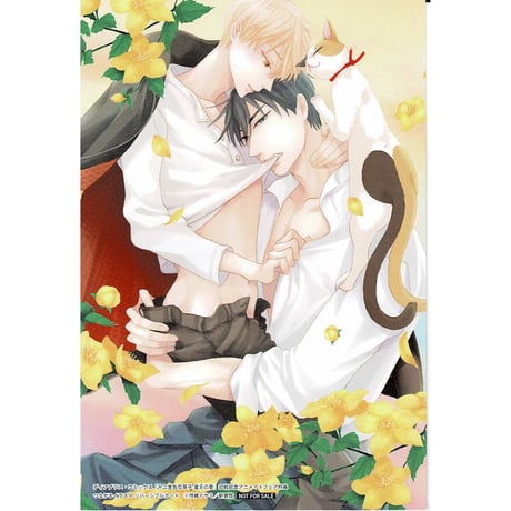 CATEGORY 待緒イサミ | K-BOOKS 池袋 2次元グッズ通販