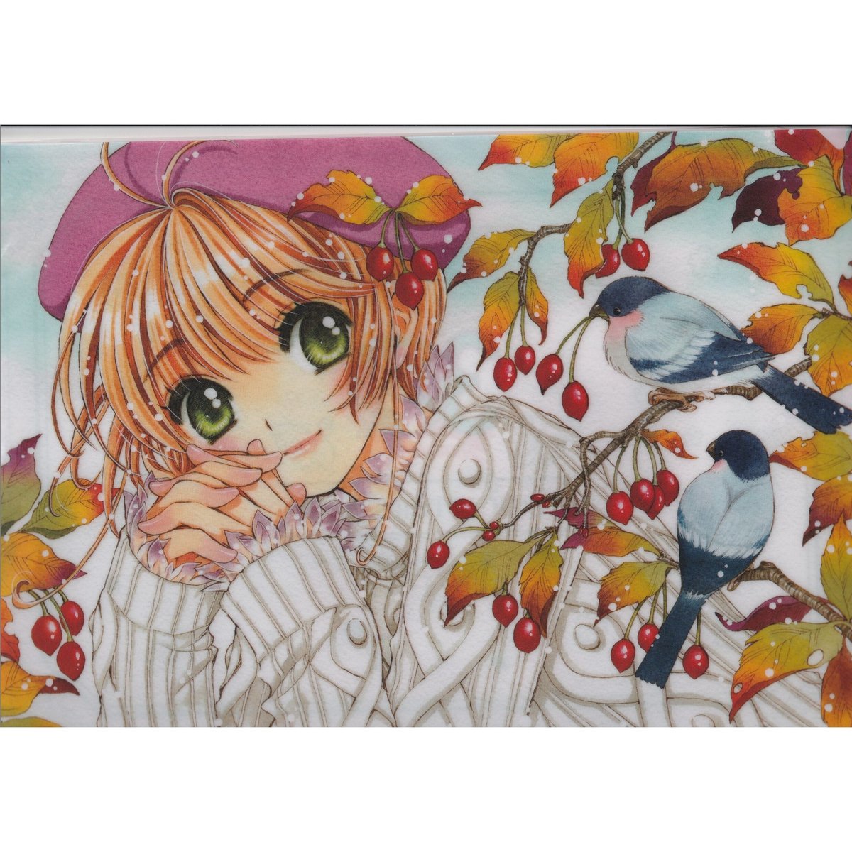 CLAMP』30th Anniversary クリアファイル2枚セットB カードキャプターさ