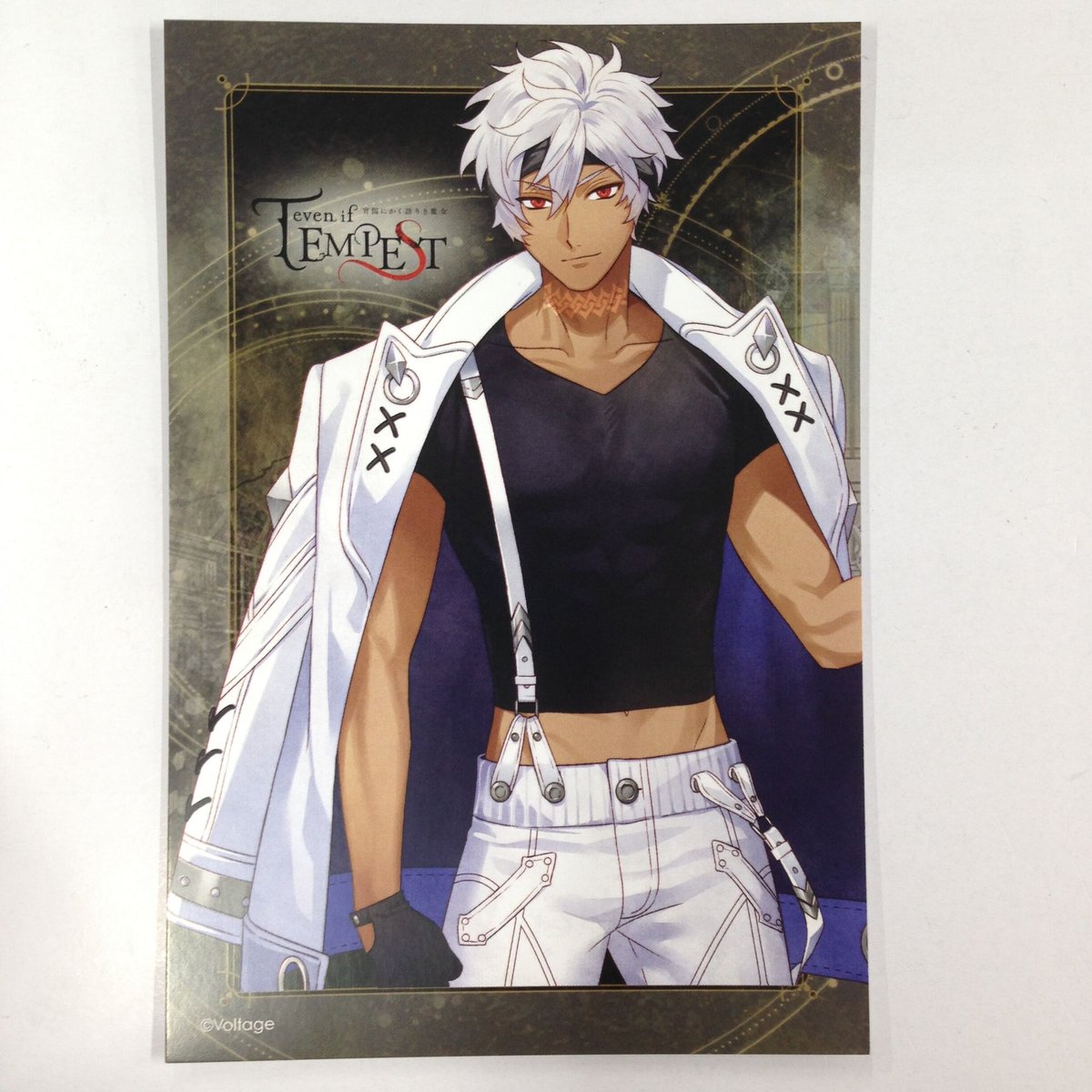ゼン グッズ テンペスト魔女 even if TEMPEST 宵闇にかく語りき魔女 ゼン ポストカード | K-BOOKS
