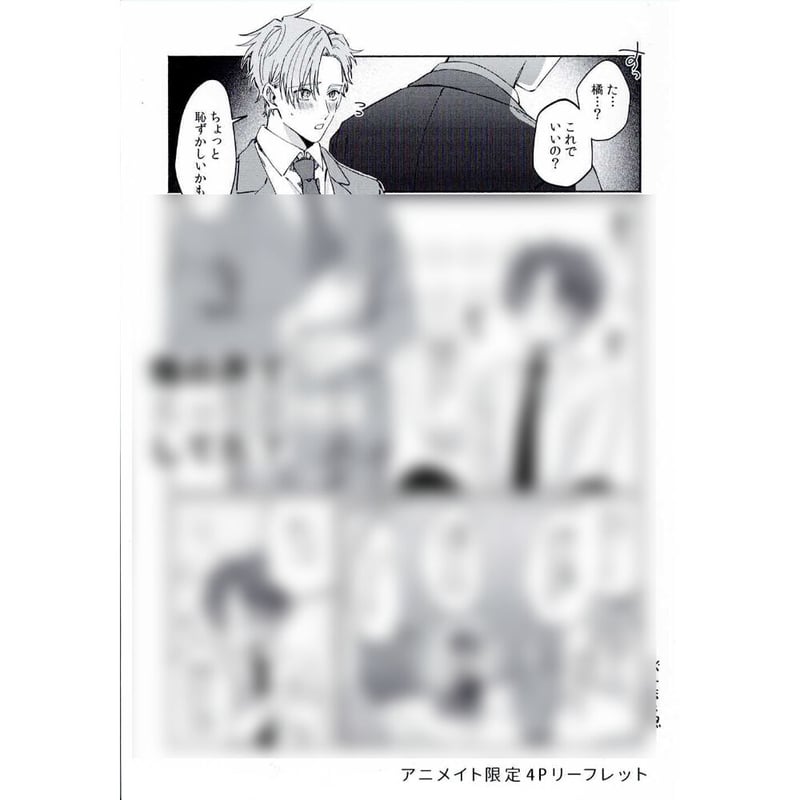 BL 特典　アニメイト他　リーフレット/小冊子 BL漫画 特典 小冊子 リーフレット ペーパー - メルカリ