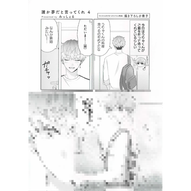 みっしぇる　誰か夢だと言ってくれ　特典セット　リーフレット　コミコミスタジオ みっしぇる 『誰か夢だと言ってくれ』4巻 コミコミスタジオ特典 小冊子