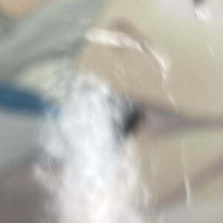 【イタミ有】『抱かれたい男1位に脅されています。』ぱしゃこれ　西條高人　東谷准太　【BLグッズ】