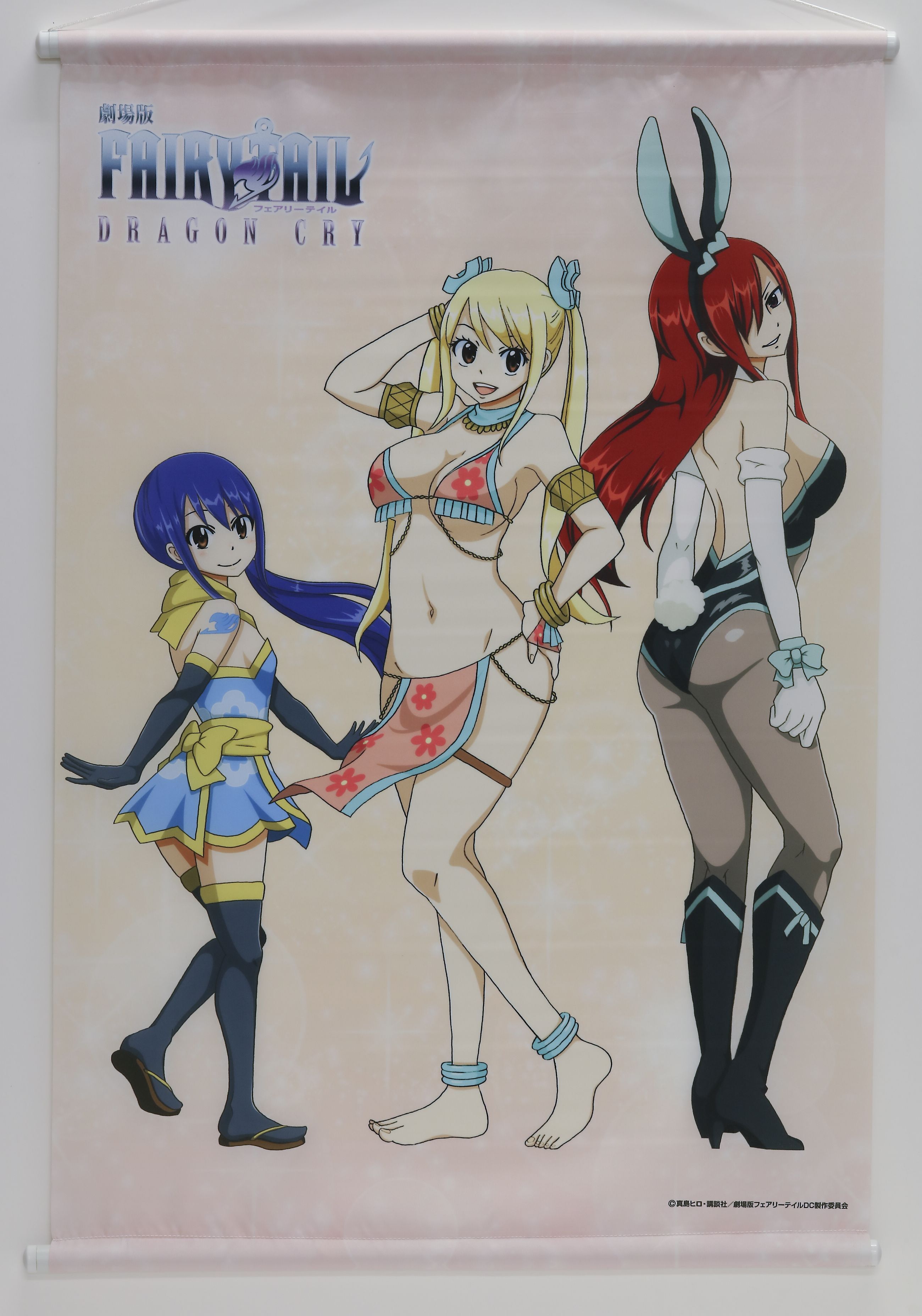 FAIRY TAIL スリーブ　フェアリーテイル ウェンディ　ルーシィ　エルザ original