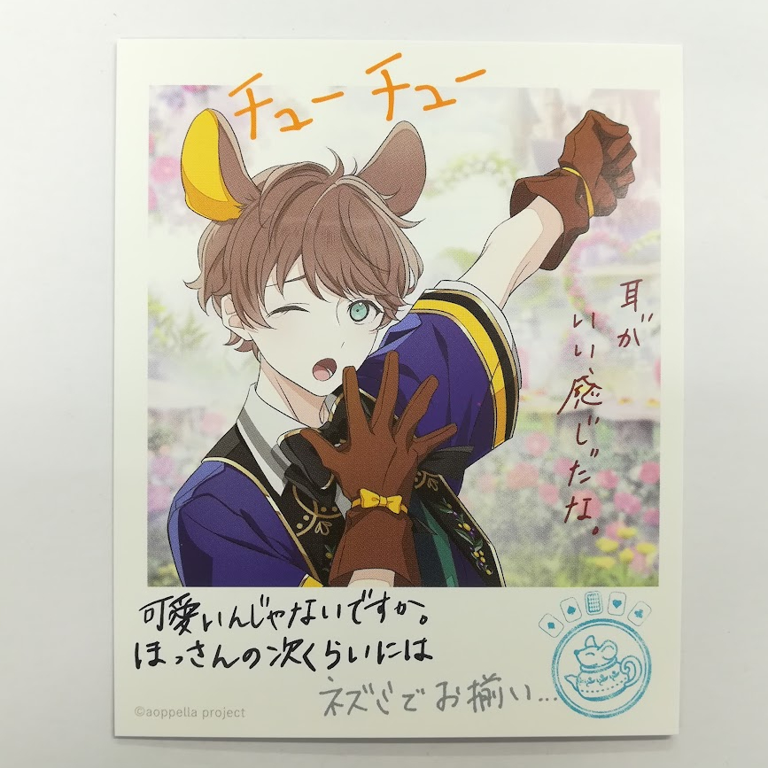 新発売 in -aoppella!?- アオペラ Wonderland フォト 道貴 雁屋園 2023 その他